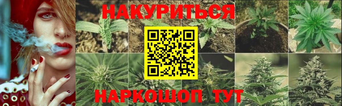 Каннабис семена Гурьевск